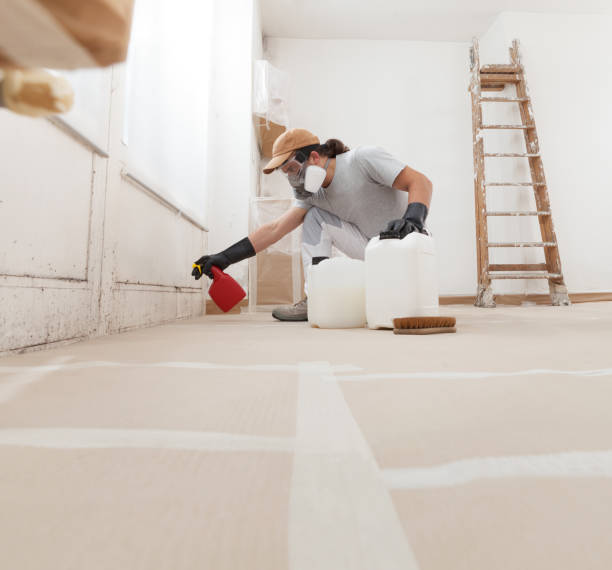 Mold Remediation for Rental Properties in Madras, OR